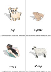 flashcard - at-the-farm 03.pdf